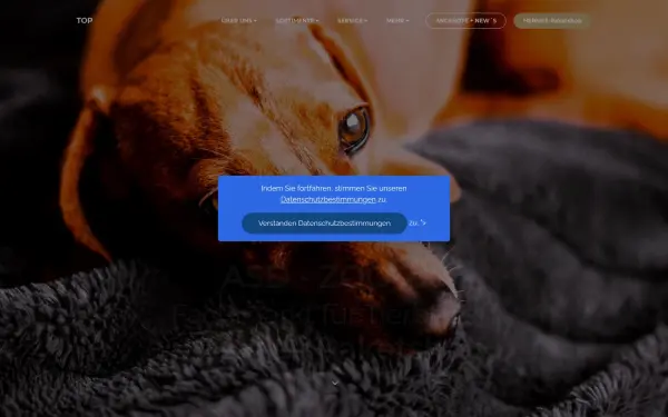asd-zoo.de