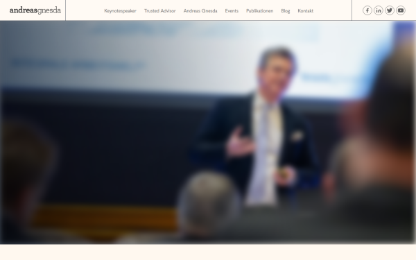 www.andreas-gnesda.at
