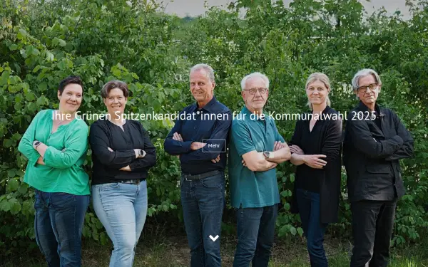 gruene-ladbergen.de