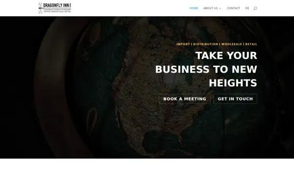 dfi-international.com