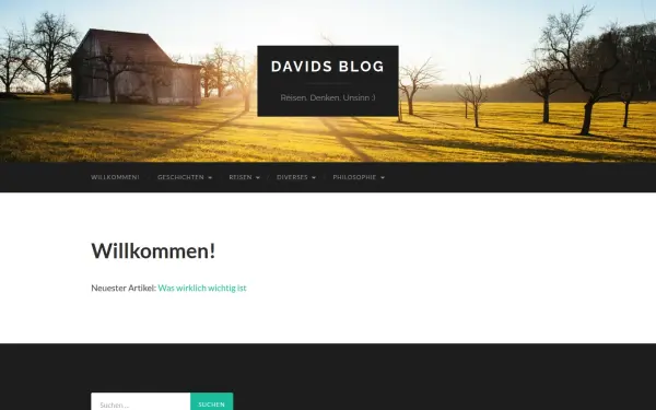 davidelsner.de