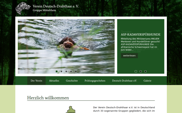 www.drahthaar-mittelrhein.de