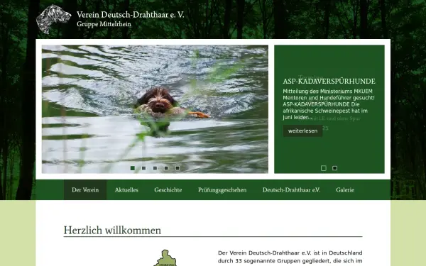 www.drahthaar-mittelrhein.de