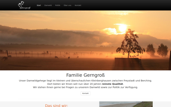 gerngross.de