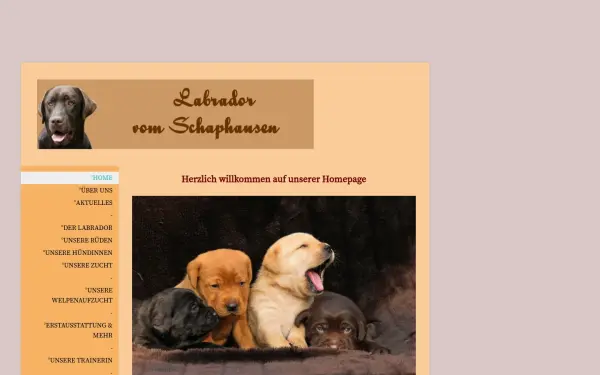 www.die-labrador-zucht.de
