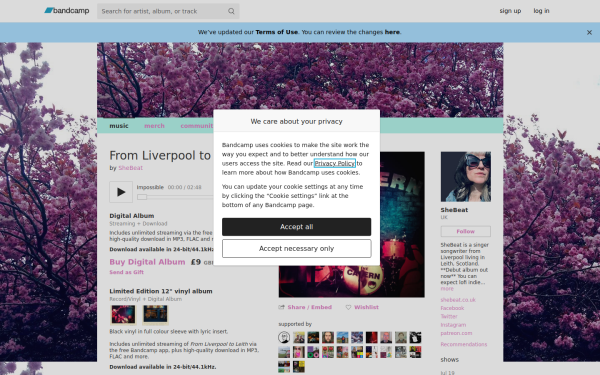 shebeatmusic.bandcamp.com