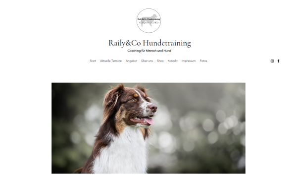 www.railyundco.at