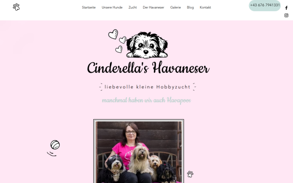 www.cinderellas-havaneser.at