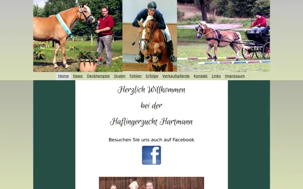 haflingerzucht-hartmann.de