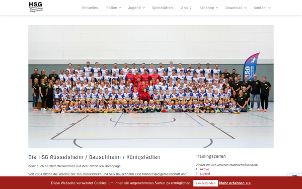 www.msghandball.de