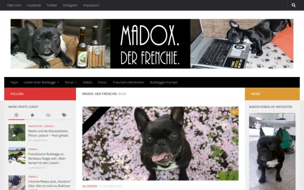 madox-der-frenchie.de
