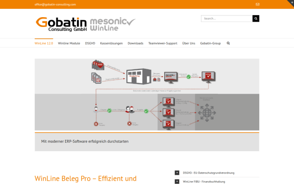 www.gobatin-consulting.at