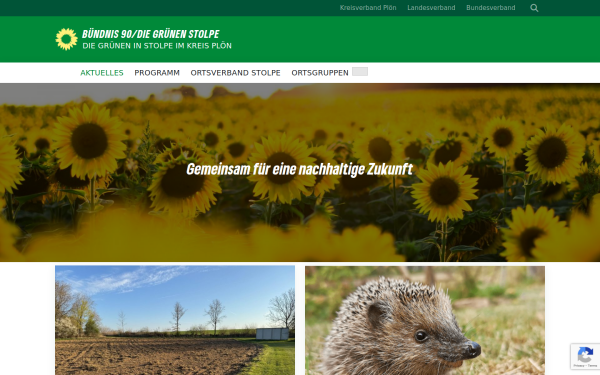 gruene-bokhorst-wankendorf.de