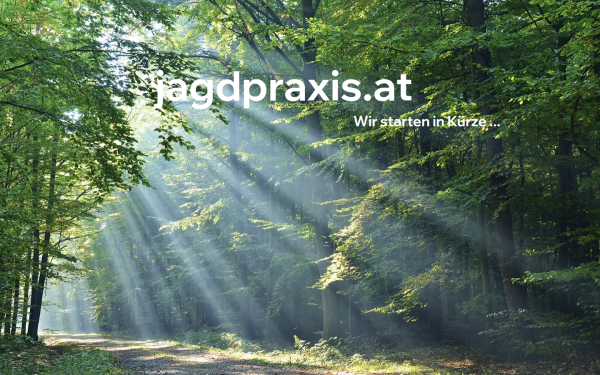 www.jagdpraxis.at