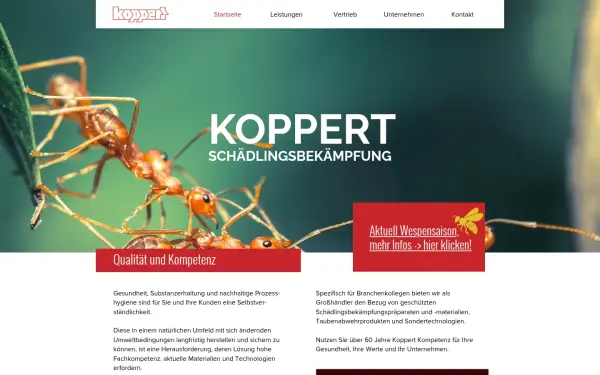 www.koppert-appenweier.de