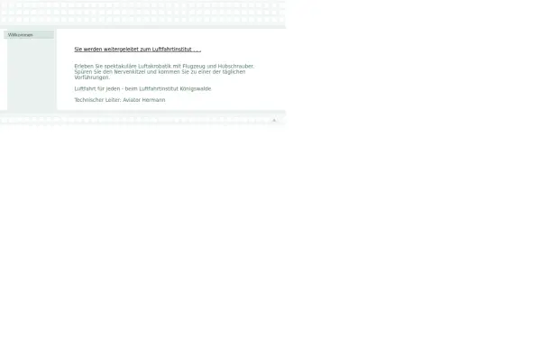 luftfahrtinstitut.de