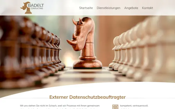 www.badelt-consulting.de