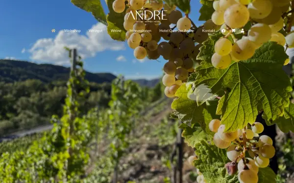 andre-wein.de