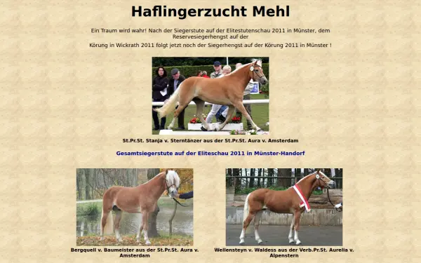 haflingerzucht-mehl.de