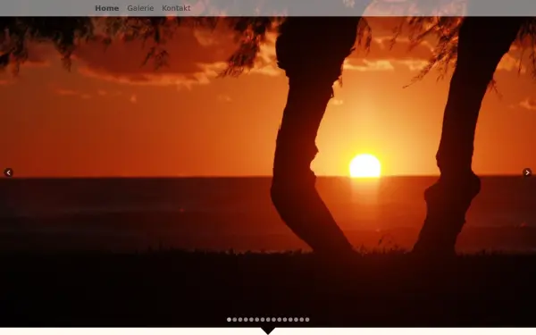 mallorca-fotokurse.de
