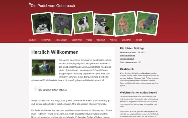 www.pudelzuechter-muenster.de