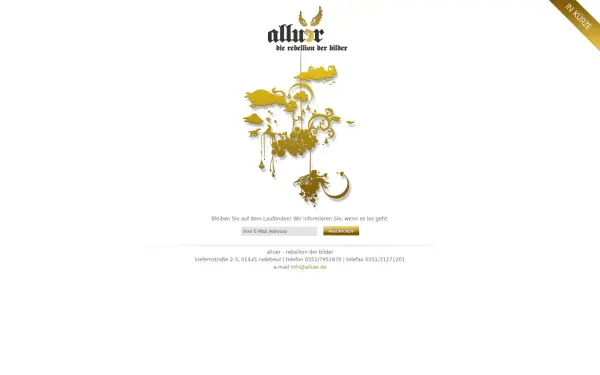 alluer.de
