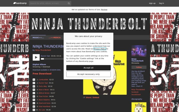 ninjathunderbolt.bandcamp.com