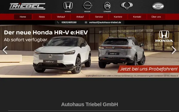 autohaus-triebel.de