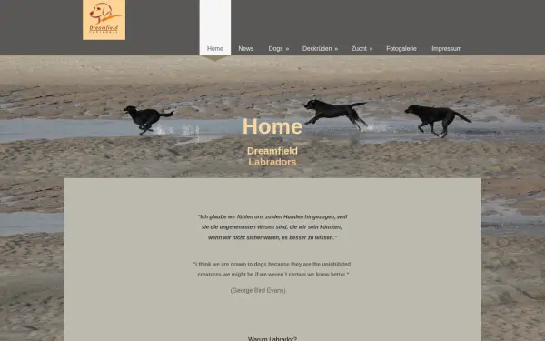 dreamfield.de