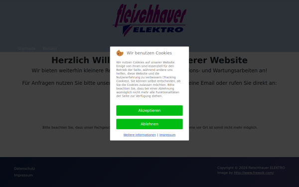 fleischhauer-elektro.de