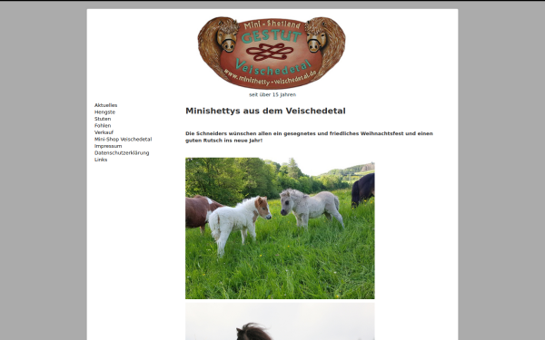 minishetty-veischedetal.de
