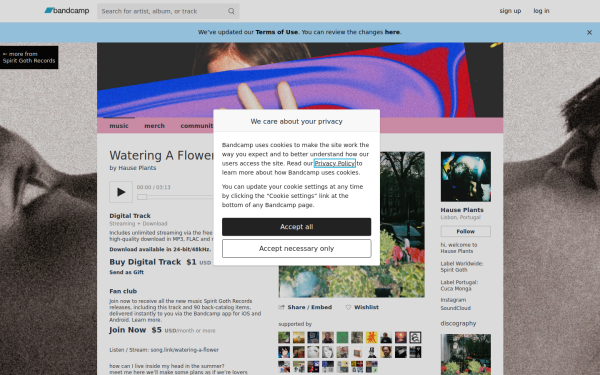 hauseplants.bandcamp.com