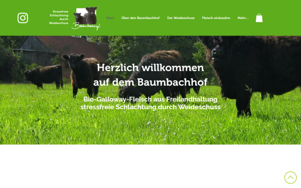 www.galloway-baumbachhof.de