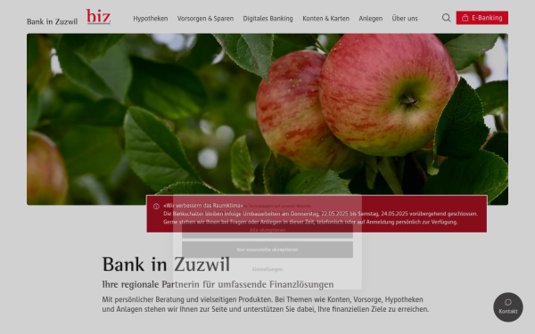 www.bankbiz.ch