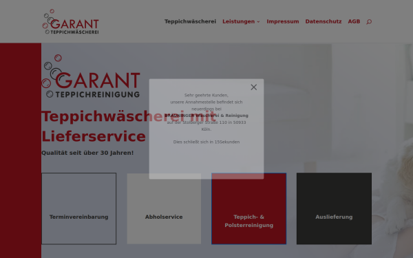 garant-teppichwaescherei.de