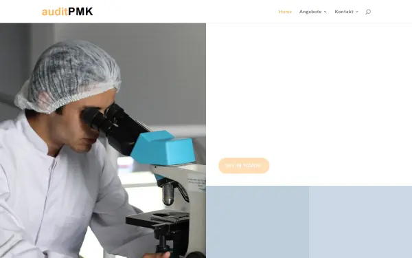 www.auditpmk.de