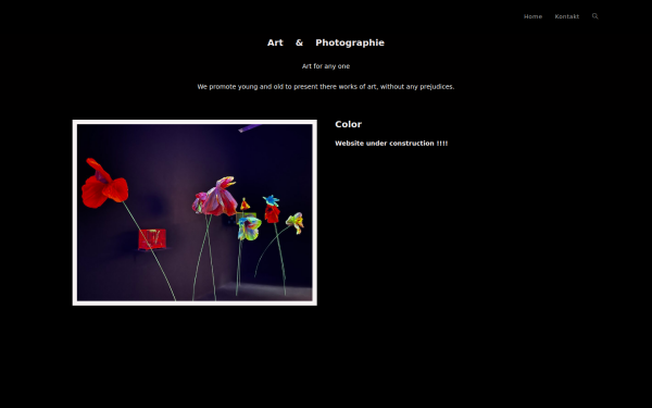 www.ex-art.at