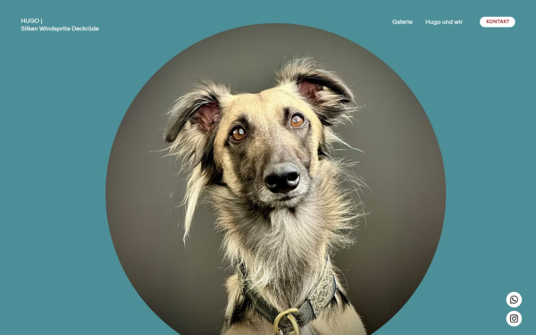 www.hugo-the-sprite.at