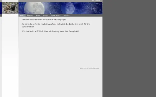 a-henninger.de