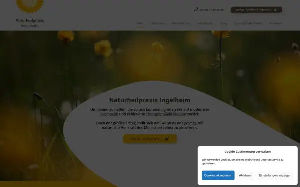 www.naturheilpraxis-ingelheim.de