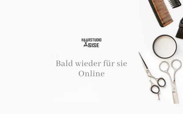 www.asise.de