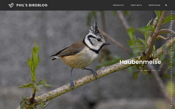 www.philip-hollmann.de