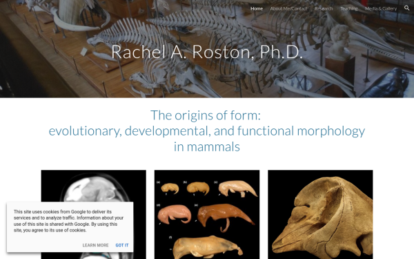 www.rachelroston.com