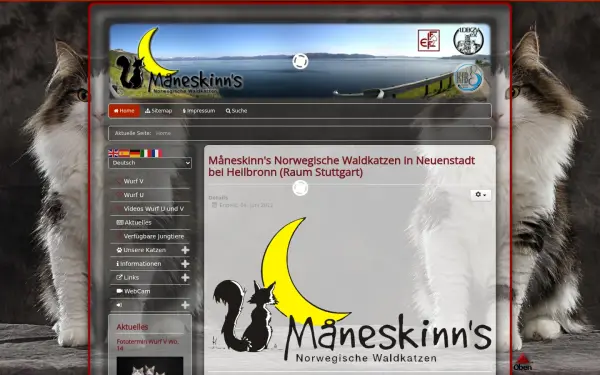 maneskinns.de