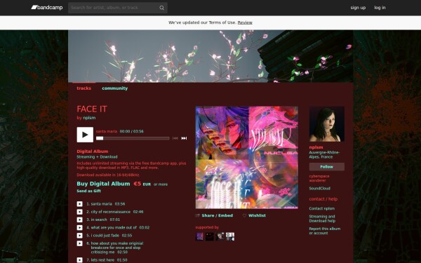 nplsm.bandcamp.com