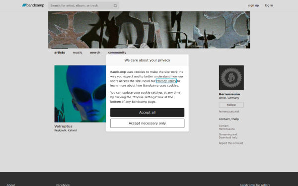 herrensauna.bandcamp.com