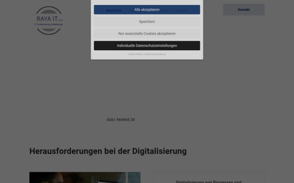 raya-it.de