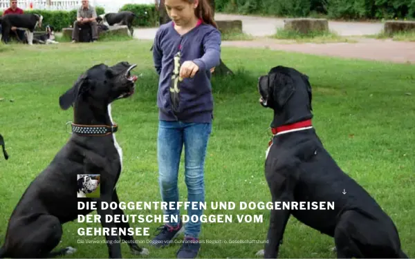 deutsche-doggen.de