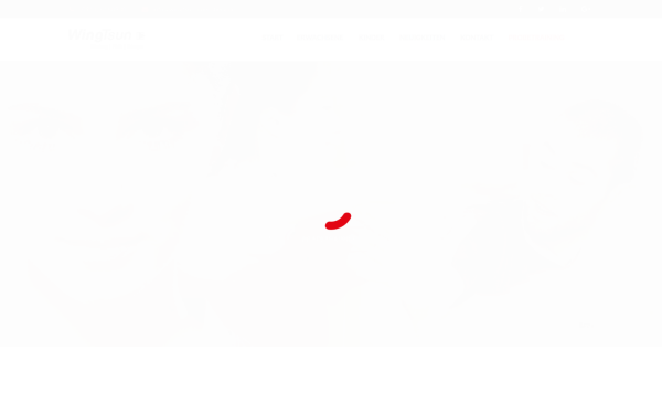 www.wingtsun-nuernberg.de