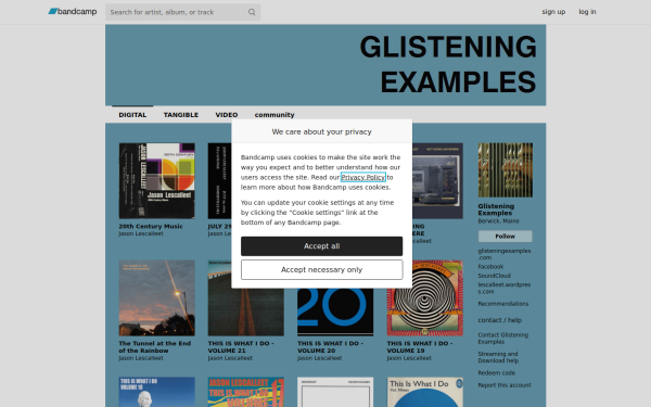 glisteningexamples.bandcamp.com